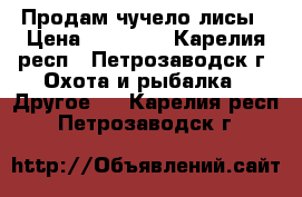 Продам чучело лисы › Цена ­ 20 000 - Карелия респ., Петрозаводск г. Охота и рыбалка » Другое   . Карелия респ.,Петрозаводск г.
